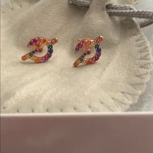 Peloton Pride Earrings